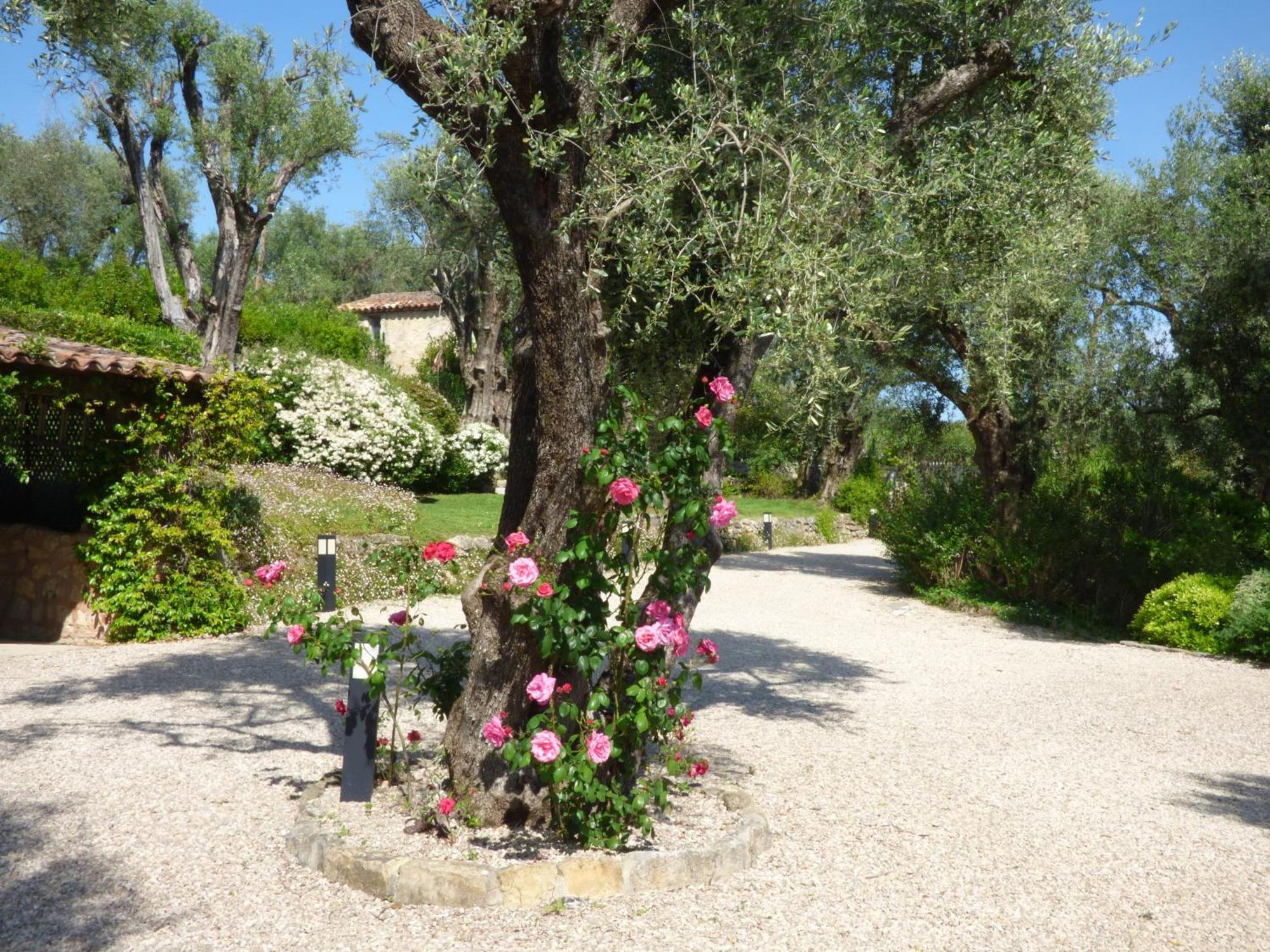 Apartment Picasso In Large Park With Heated Pool Chateauneuf-Grasse Esterno foto
